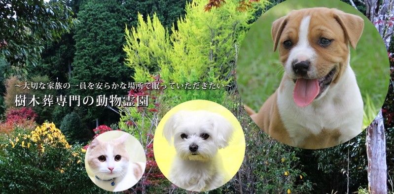 �A���f���Z���y�b�g�쉀���T�C�g